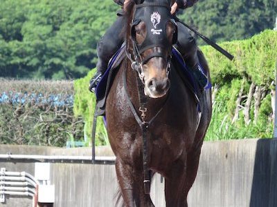 朗報 ノリ「エタリオウはクセがなく乗りやすい」